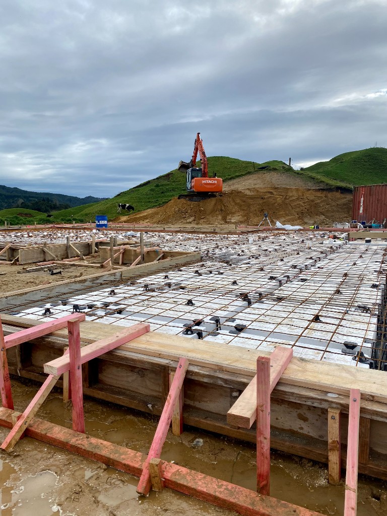 Photo 3-08-21, 11 25 57 AM