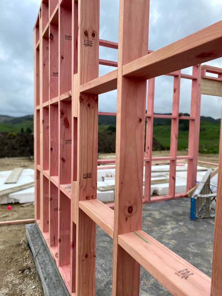 Photo 8-08-21, 3 51 43 PM